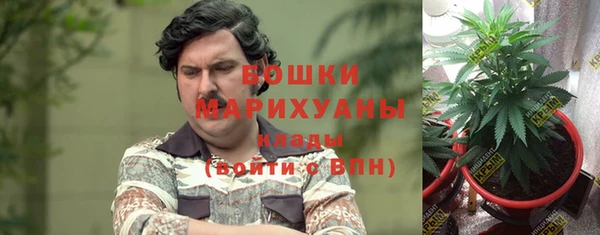 молекула духа Гусев