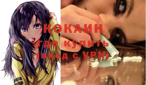 apvp Гусиноозёрск