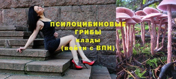 apvp Гусиноозёрск