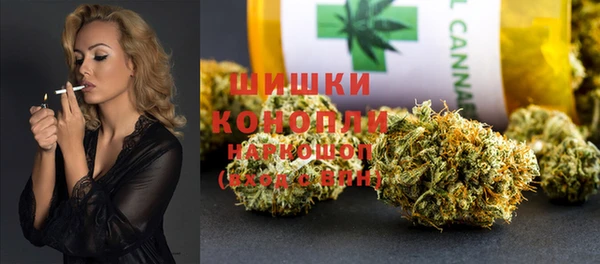 apvp Гусиноозёрск