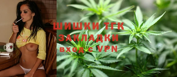 молекула духа Гусев