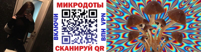 купить   Петухово  Псилоцибиновые грибы прущие грибы 